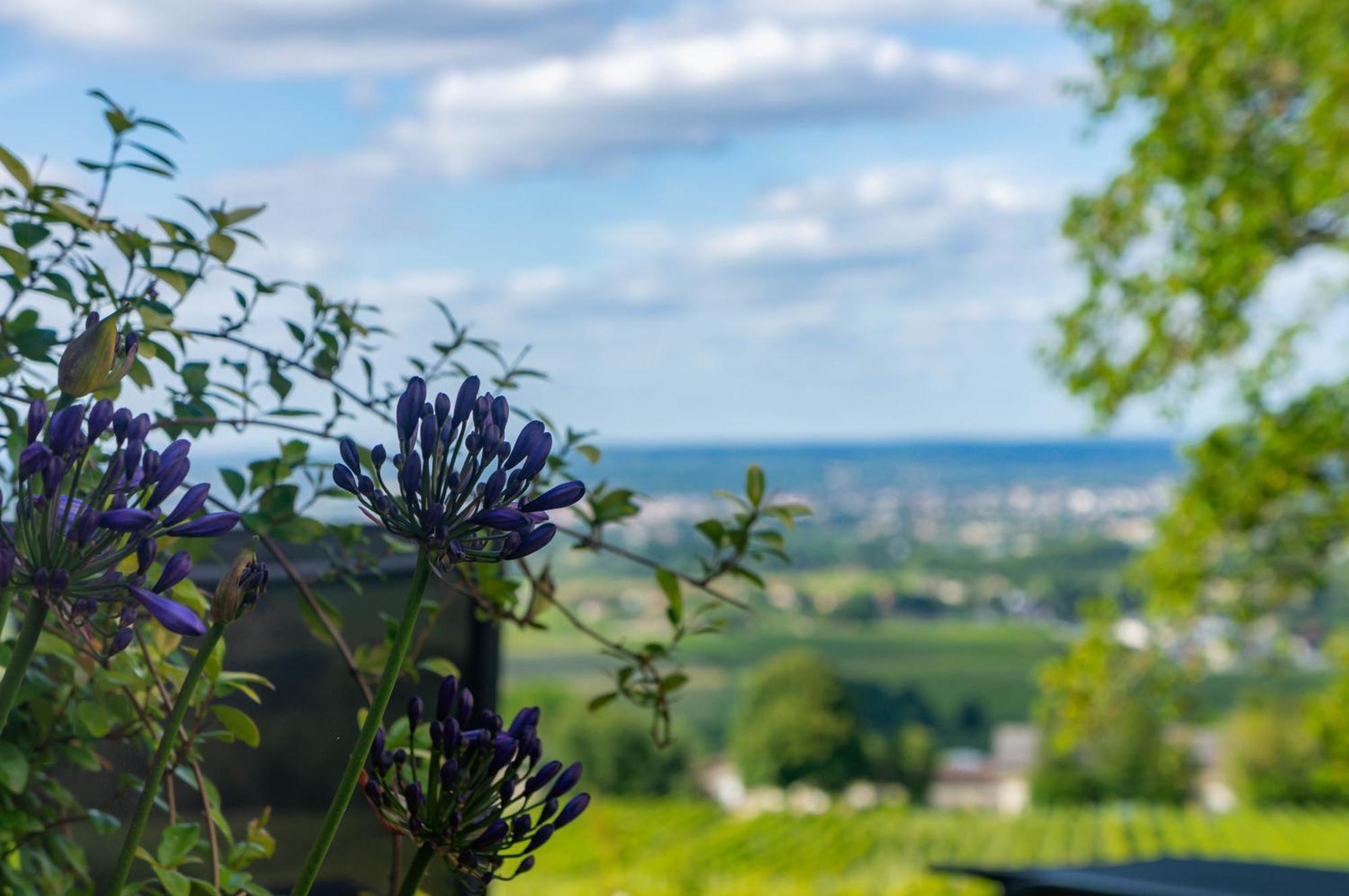 Le Domaine De La Tour Des Vents Bed & Breakfast Bergerac Exterior foto